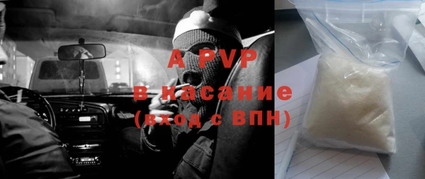 хмурый Алзамай